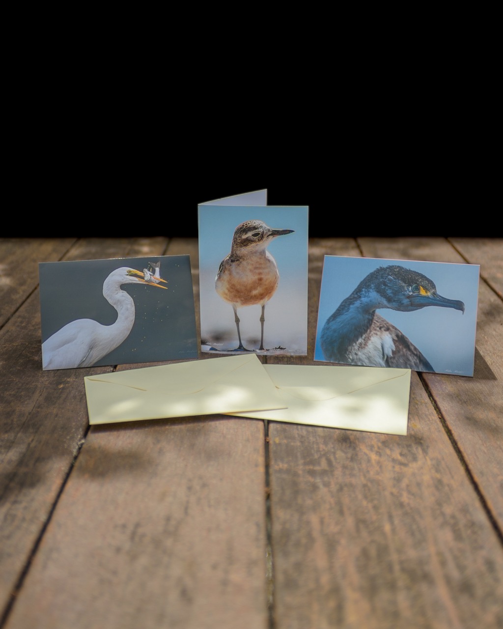 Water Birds Wildlife Greeting Cards Set - New Zealand Bird Photography